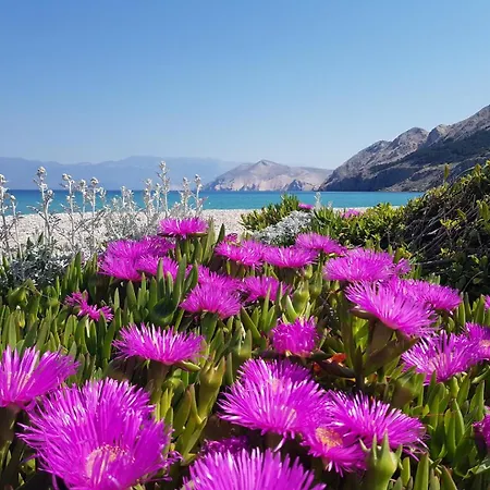 Apartment Krznaric Baska (Krk)