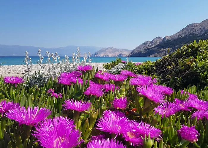 Apartment Krznaric Baška